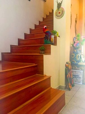 Stairs Two Story House in Ixtapa Jalisco Mexico