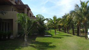 Áreas verdes Desarrollo Isla Palmares en el Tigre Club de Golf en Nuevo Vallarta